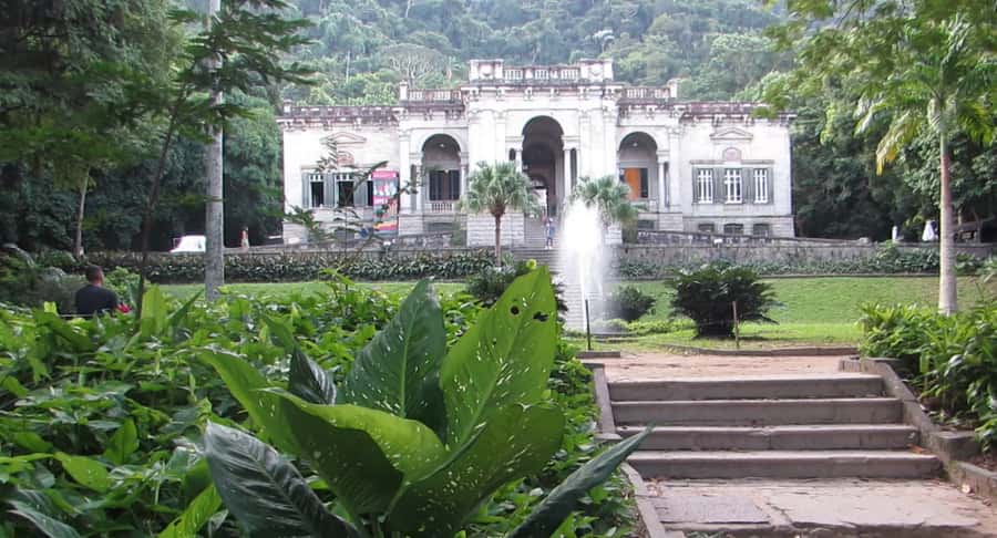 Rio: Botanical Garden, Tijuca Forest, and Parque Lage Tour - What to bring for the forest and garden