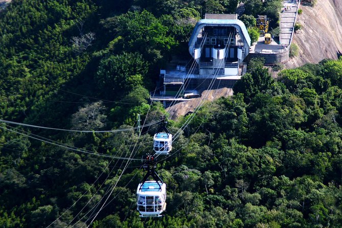 Rio by Day - Main Sights Tour - One long day to understand Rio