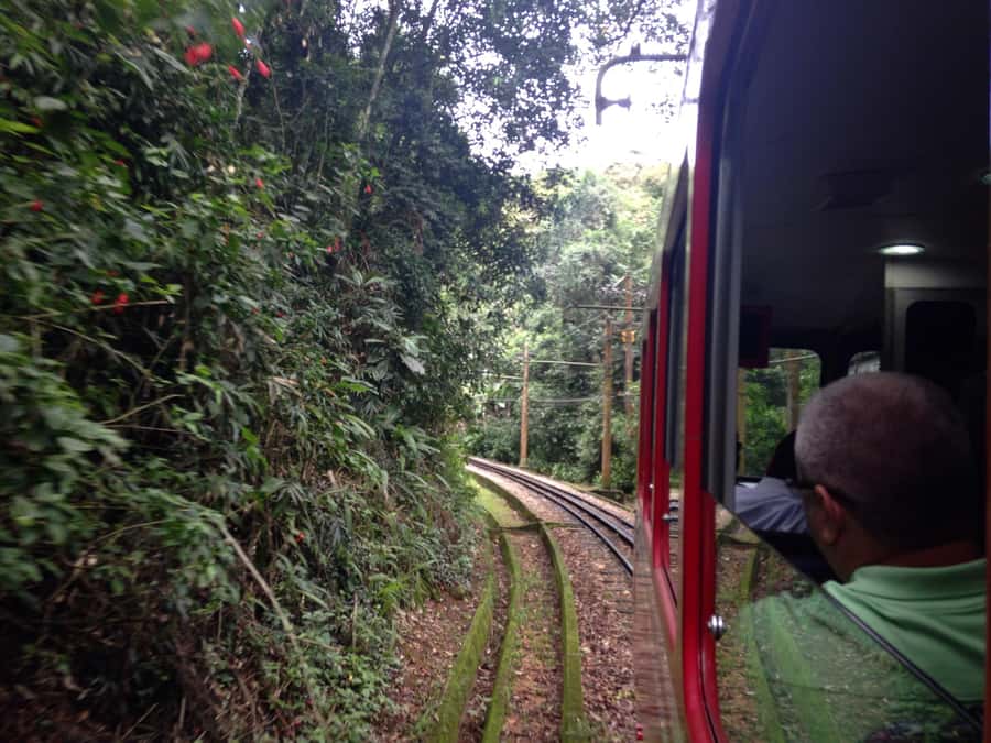 Rio: Christ The Redeemer Half Day Tour With Pick up - Who should book this Corcovado half-day tour?