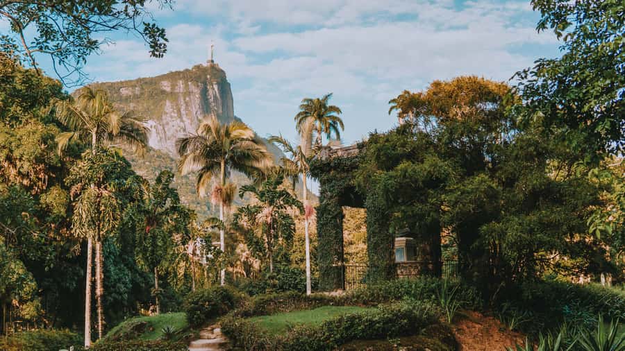 Rio de Janeiro: 4-Hour Botanical Garden & Tijuca Forest Tour - From palms to rainforest in one morning