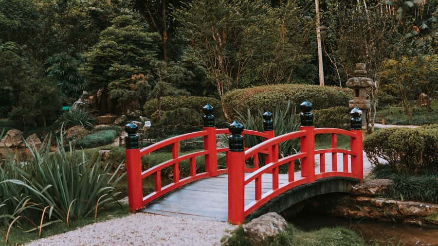 Rio de Janeiro: 4-Hour Botanical Garden & Tijuca Forest Tour - FAQ