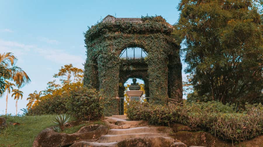 Rio de Janeiro: 4-Hour Botanical Garden & Tijuca Forest Tour - Tijuca National Forest and Taunay Waterfall