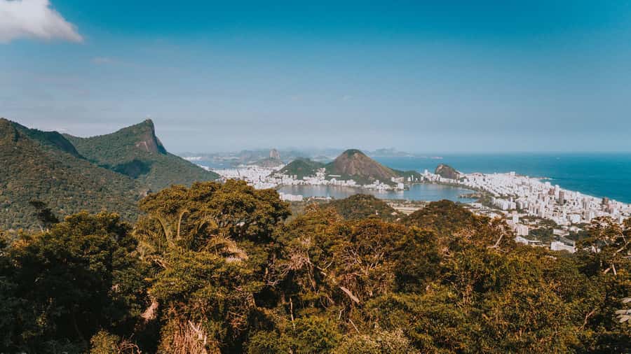Rio de Janeiro: 4-Hour Botanical Garden & Tijuca Forest Tour - Is $51 good value?