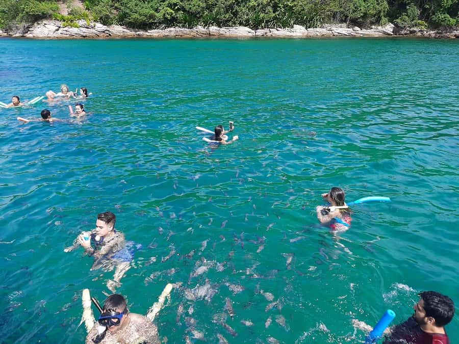 Rio de Janeiro: Angra dos Reis and Ilha Grande Full-Day Tour - Lunch at Japariz