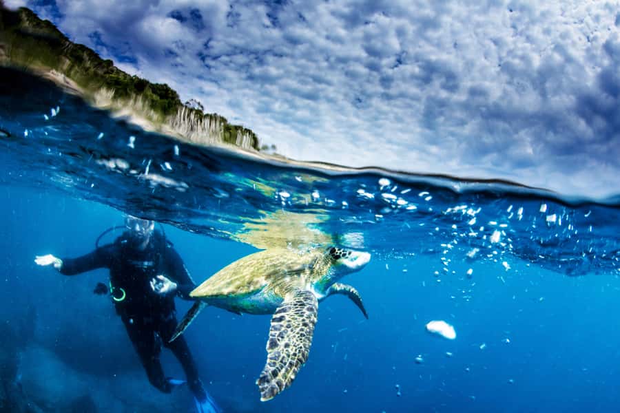 Rio de Janeiro: Arraial do Cabo Scuba Diving Day Trip - Who should book this Arraial do Cabo trip?