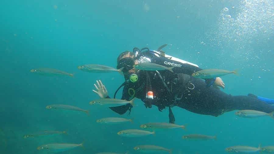 Rio de Janeiro: Arraial do Cabo Scuba Diving Day Trip - The three-hour boat program