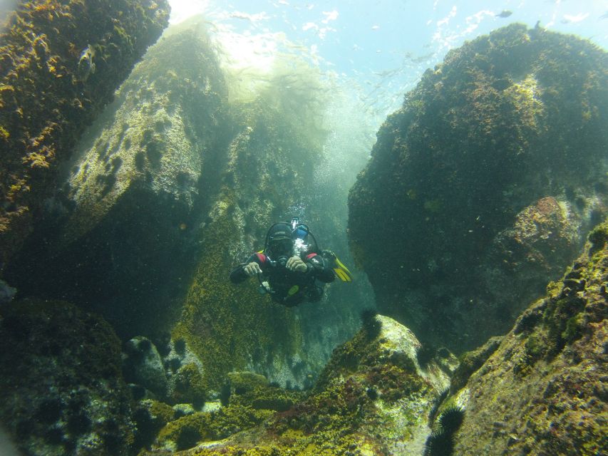 Rio de Janeiro: Arraial do Cabo Scuba Diving Day Trip - Is $255 a fair price?