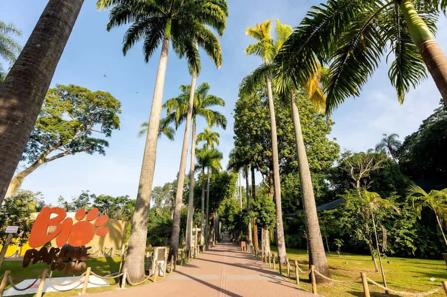 Rio de Janeiro: BioParque Guided Tour with Transfer - Is $58 a Fair Price?