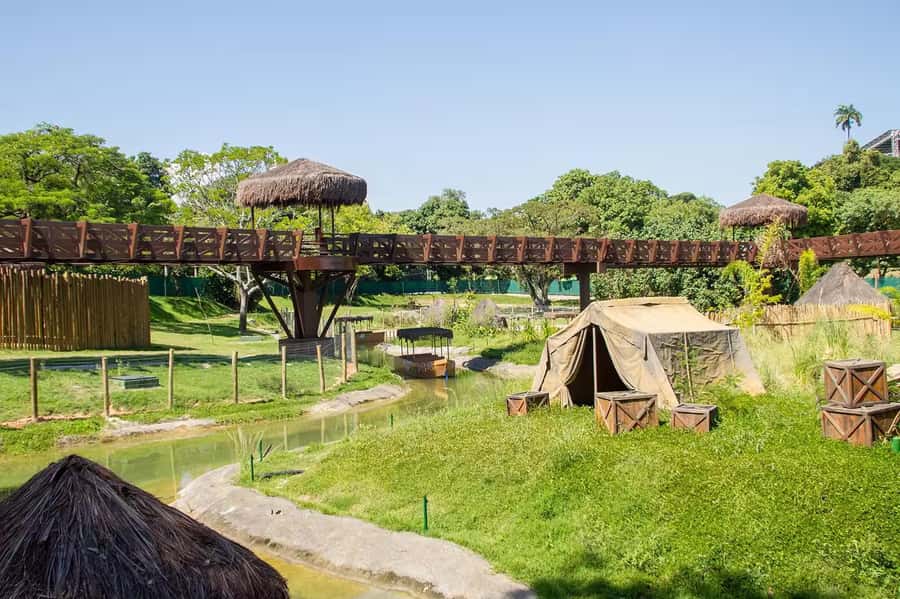 Rio de Janeiro: BioParque Guided Tour with Transfer - Hotel Pickup Makes the Morning Easier