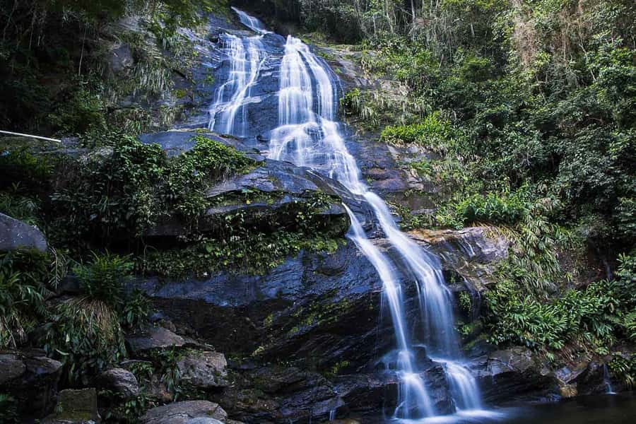 Rio de Janeiro: Botanical Garden & Tijuca Forest Guided Tour - Rio’s rainforest, reached by open-air jeep