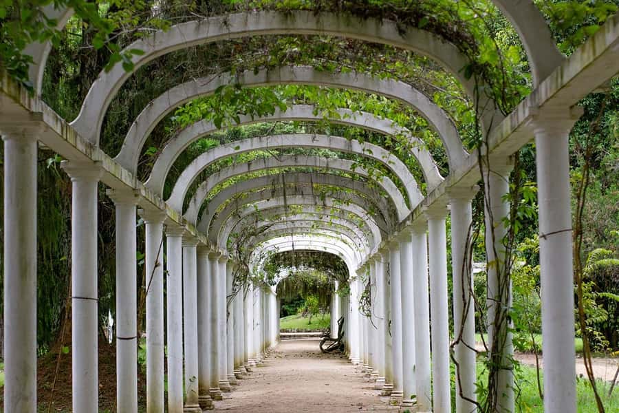 Rio de Janeiro: Botanical Garden & Tijuca Forest Guided Tour - Pickup, timing, and what to bring