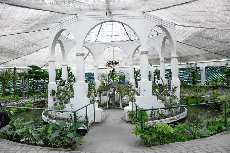 Rio de Janeiro: Botanical Garden & Tijuca Forest Guided Tour - How the schedule can affect your experience