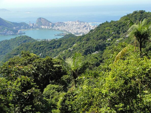 Rio de Janeiro Botanical Garden & Tijuca Forest Tour - Key points to know before booking