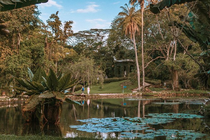 Rio de Janeiro Botanical Garden & Tijuca Forest Tour - Why Rio’s Botanical Garden deserves the first hour