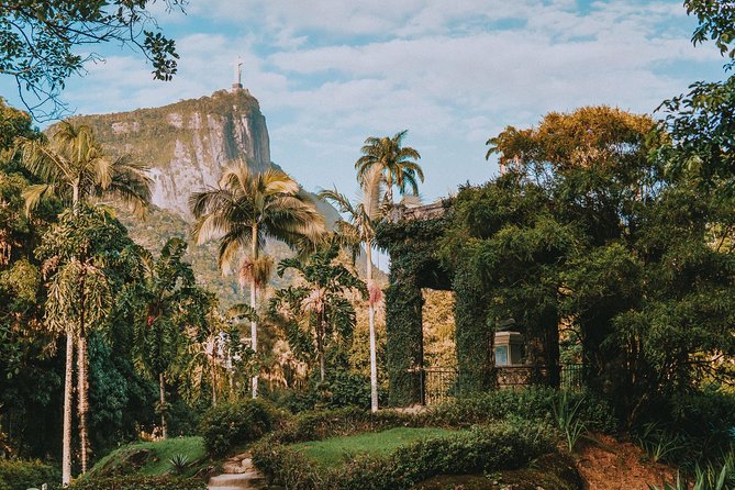 Rio de Janeiro Botanical Garden & Tijuca Forest Tour - What the guide adds to the garden