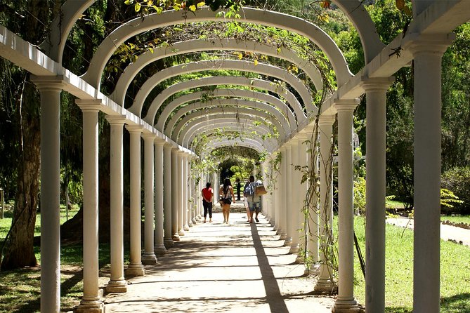 Rio de Janeiro Botanical Garden Tour - Why Rio’s Botanical Garden deserves half a day