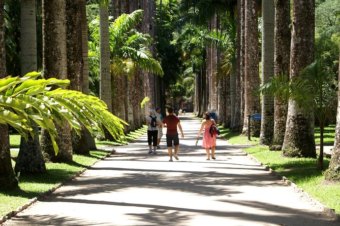 Rio de Janeiro Botanical Garden Tour - Hotel transfers and the practical weak spot