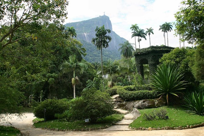 Rio de Janeiro Botanical Garden Tour - The orchid house and 500 varieties
