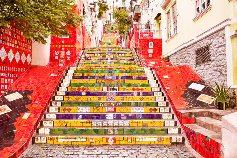 Rio de Janeiro: Christ, Selaron Steps, and Tijuca Park Tour - Why the early Christ the Redeemer visit matters
