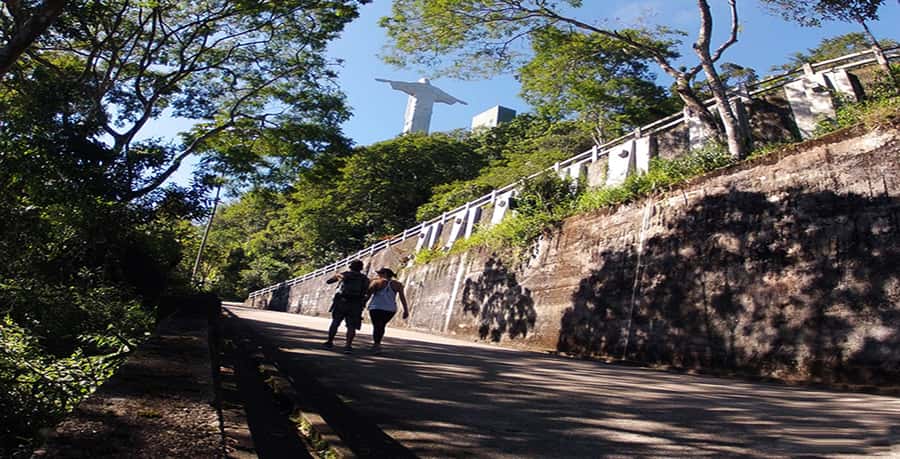 Rio de Janeiro: Christ the Redeemer Guided Hike - Two hours through Tijuca National Rainforest