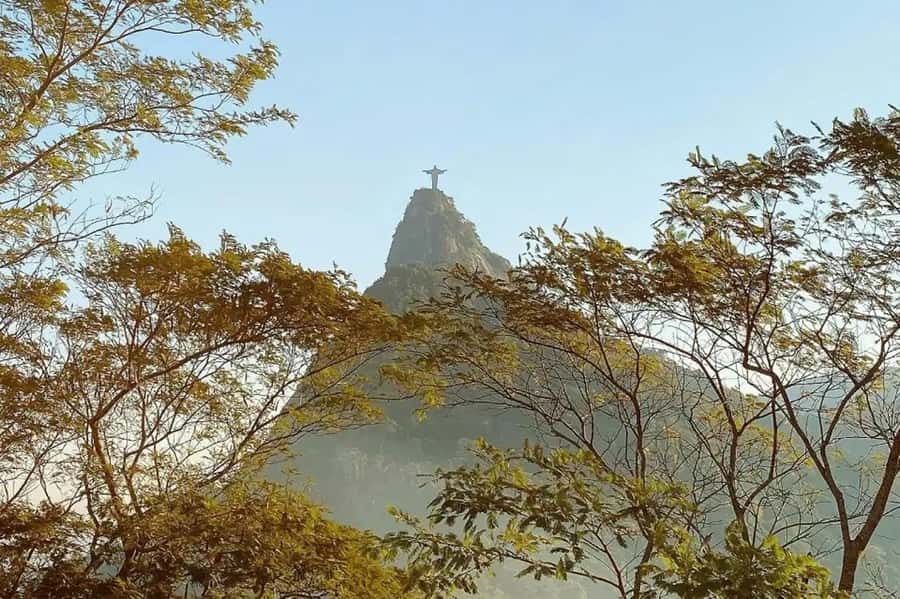 Rio de Janeiro: Christ the Redeemer Guided Hike - What the guide adds to the forest walk