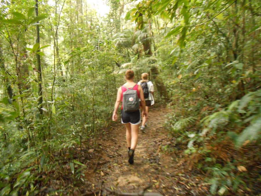 Rio de Janeiro: Christ the Redeemer Guided Hike - Is $81 a fair price?