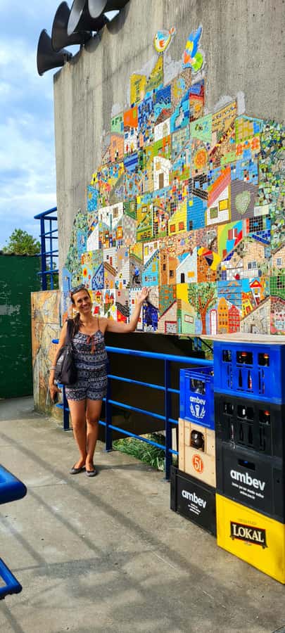 Rio de Janeiro: Favela Santa Marta Tour with Resident Guide - The favela scene and social projects