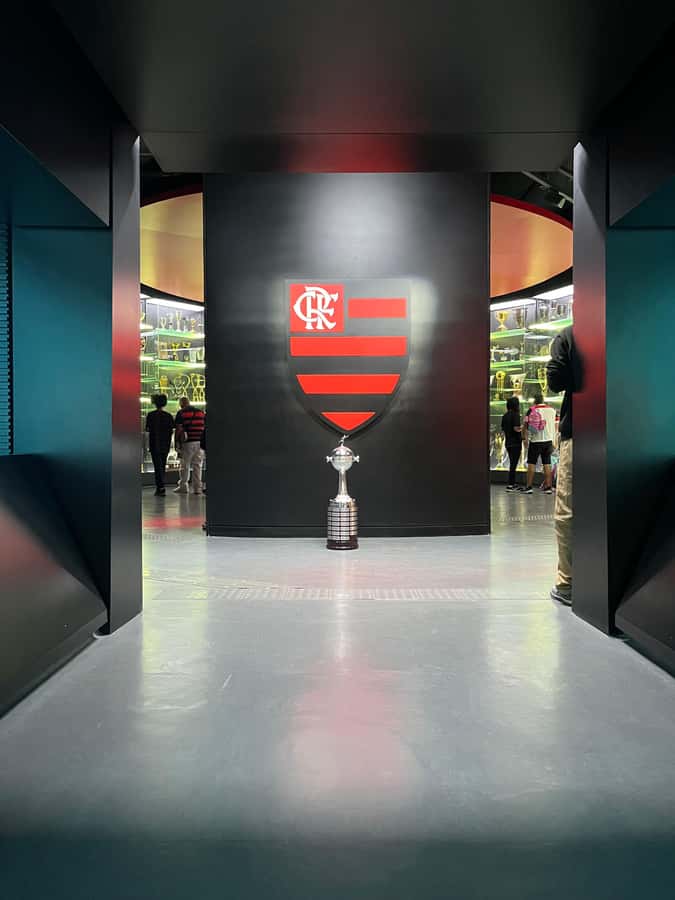 Rio de Janeiro: Flamengo Museum Ticket Entrance - From a 1895 sailing club to a football powerhouse