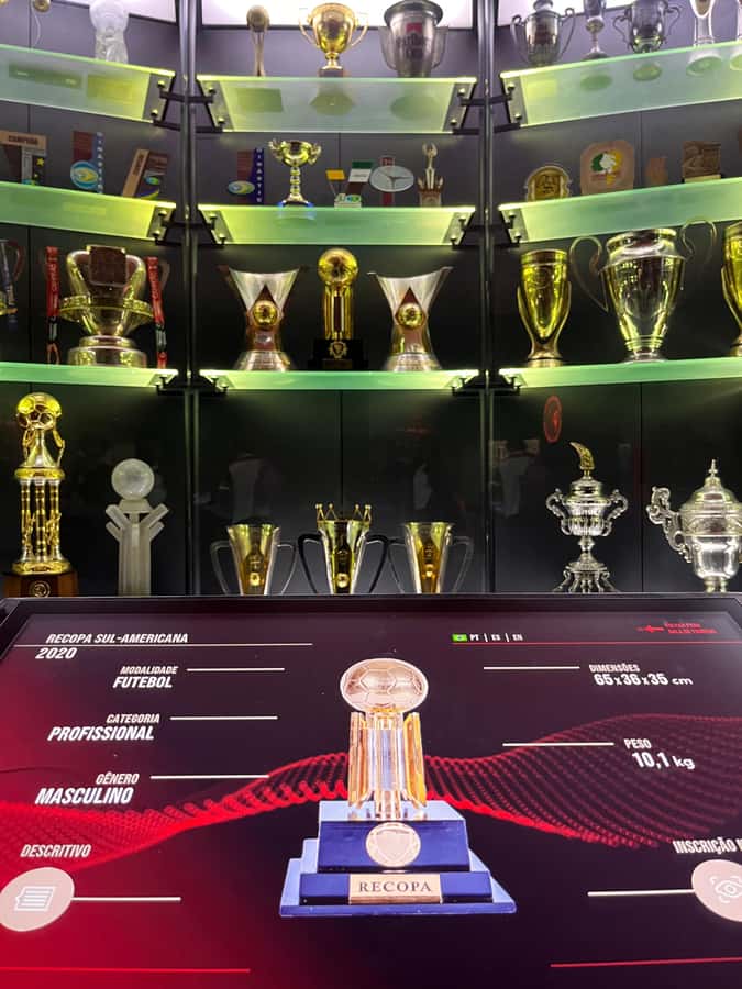Rio de Janeiro: Flamengo Museum Ticket Entrance - The Flamengo identity beyond football