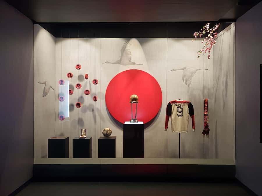 Rio de Janeiro: Flamengo Museum Ticket Entrance - Who will get the most from Flamengo Museum?