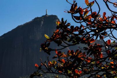 Guided Bike Tours in Small Groups