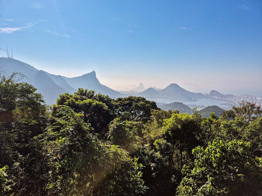 Rio de Janeiro: Guided Jeep Tour through Tijuca Rainforest - Final verdict: a smart introduction to Tijuca