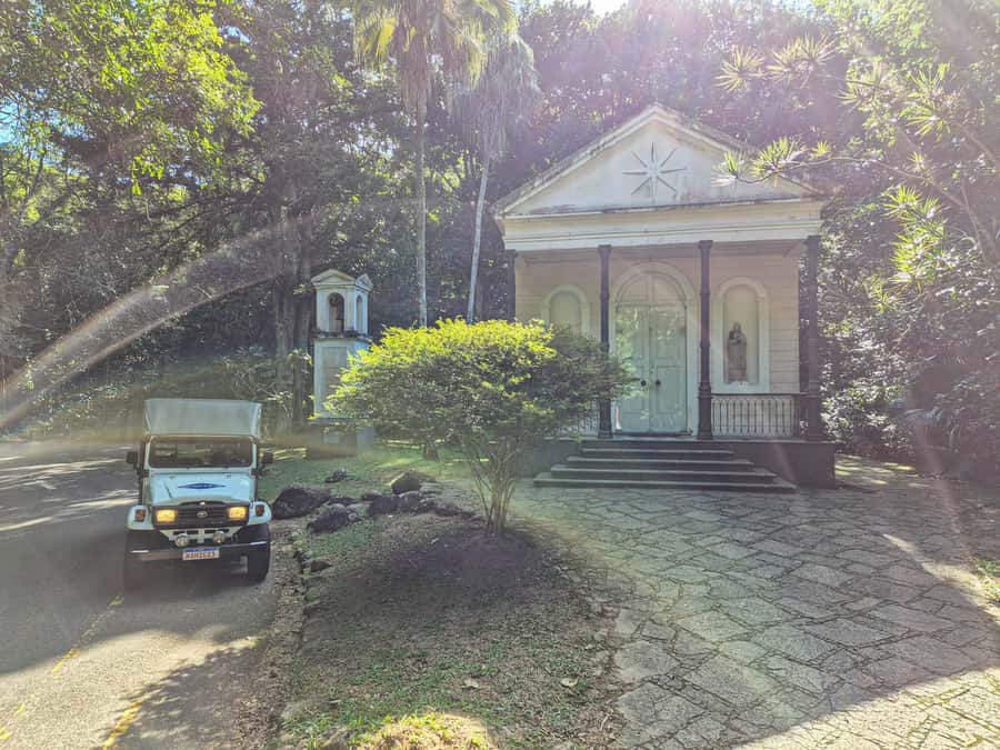 Rio de Janeiro: Guided Jeep Tour through Tijuca Rainforest - Why Tijuca is worth your Rio morning