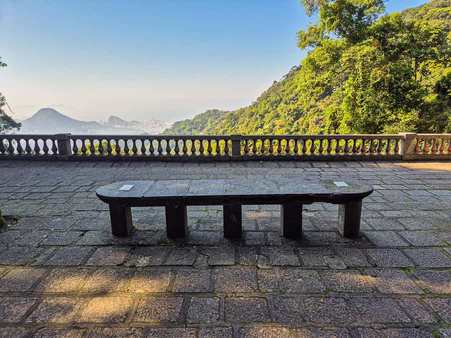 Rio de Janeiro: Guided Jeep Tour through Tijuca Rainforest - The easy forest walk is the tour’s most personal part