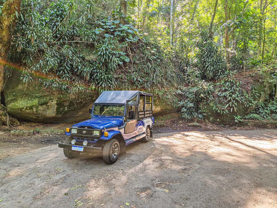 Rio de Janeiro: Guided Jeep Tour through Tijuca Rainforest - Who should book this Rio rainforest tour?