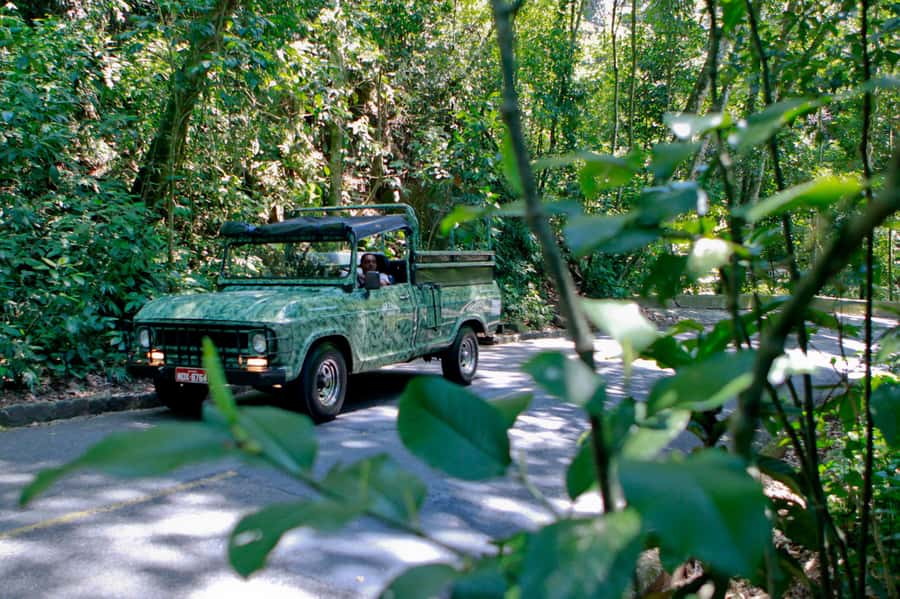 Rio de Janeiro: Jeep Tour in the Tijuca Forest - Why Tijuca Forest makes a smart Rio half-day