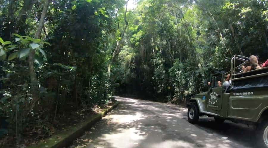 Rio de Janeiro: Jeep Tour in the Tijuca Forest - Who should book this Tijuca Forest tour?