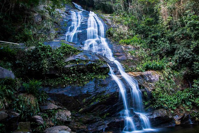 Rio de Janeiro Jeep Tour : Tijuca Forest - Why Tijuca Forest makes a good break from Rio
