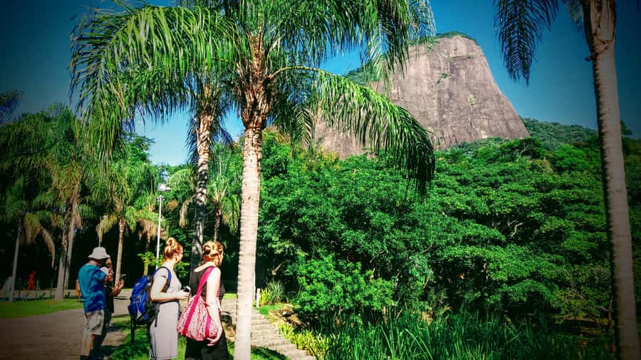 Rio de Janeiro Nature Secrets 'The Eco Citytour' - Rio’s green side in a single day