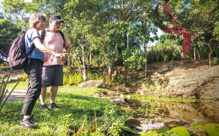 Rio de Janeiro Nature Secrets 'The Eco Citytour' - Why the $69 price can make sense