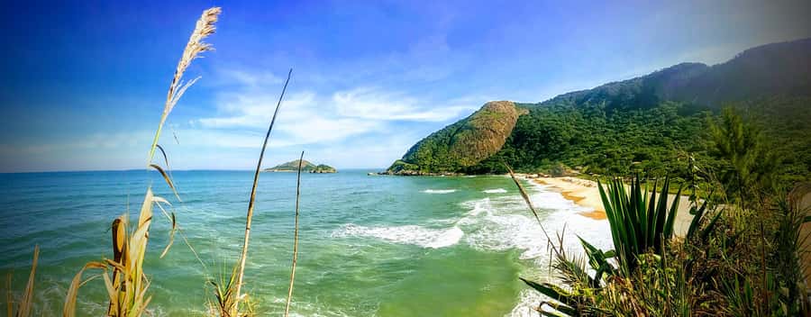 Rio de Janeiro Nature Secrets 'The Eco Citytour' - Dois Irmãos begins with a city and sea view
