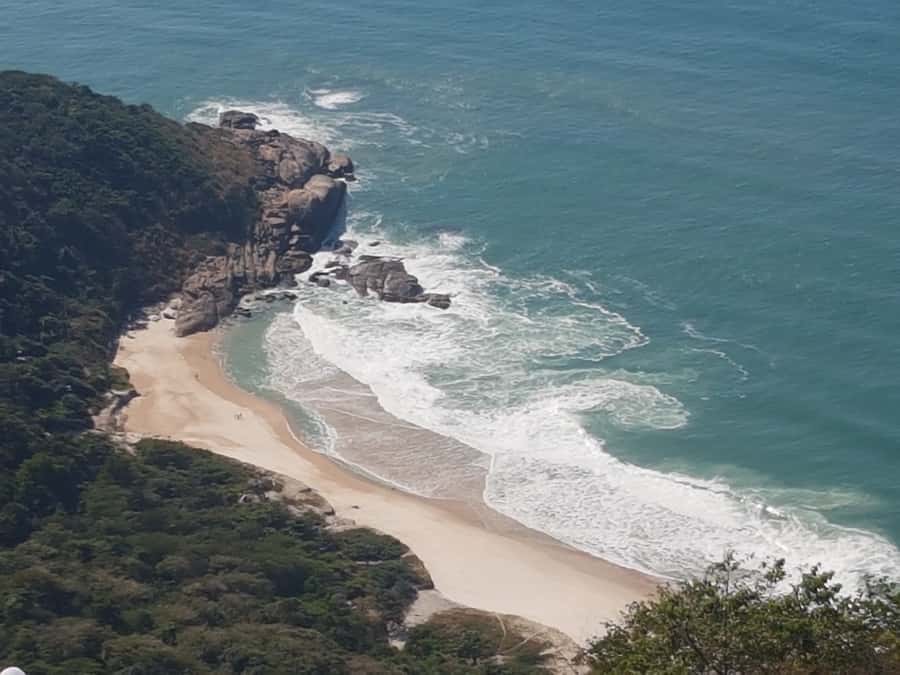 Rio de Janeiro: Pedra do Telegrafo Hike & Grumari Beach Tour - What the $96 price includes