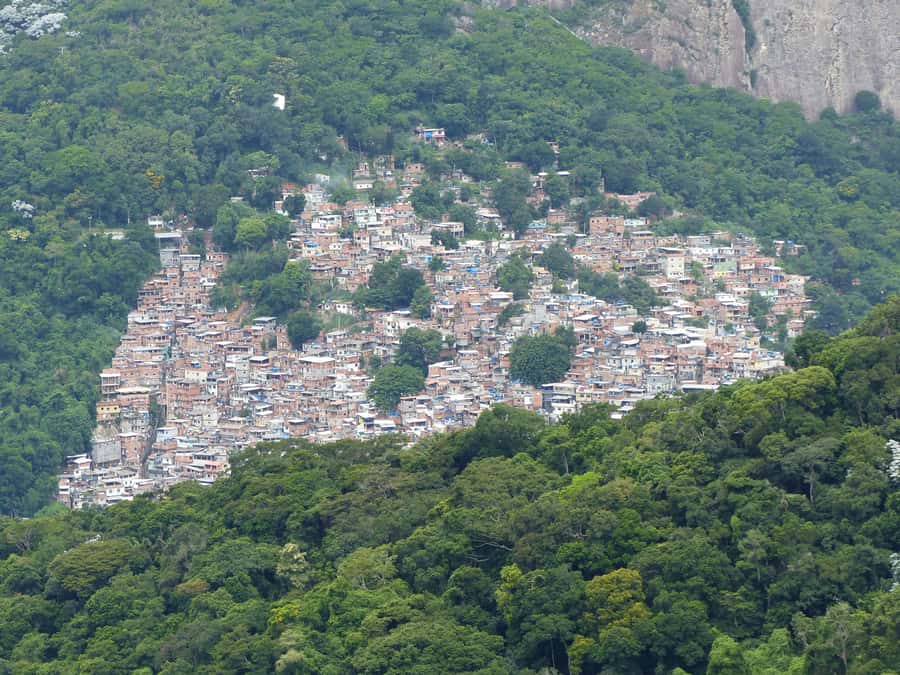 Rio de Janeiro: Private Day Tour with lunch - Maracanã Stadium and the Sambadrome