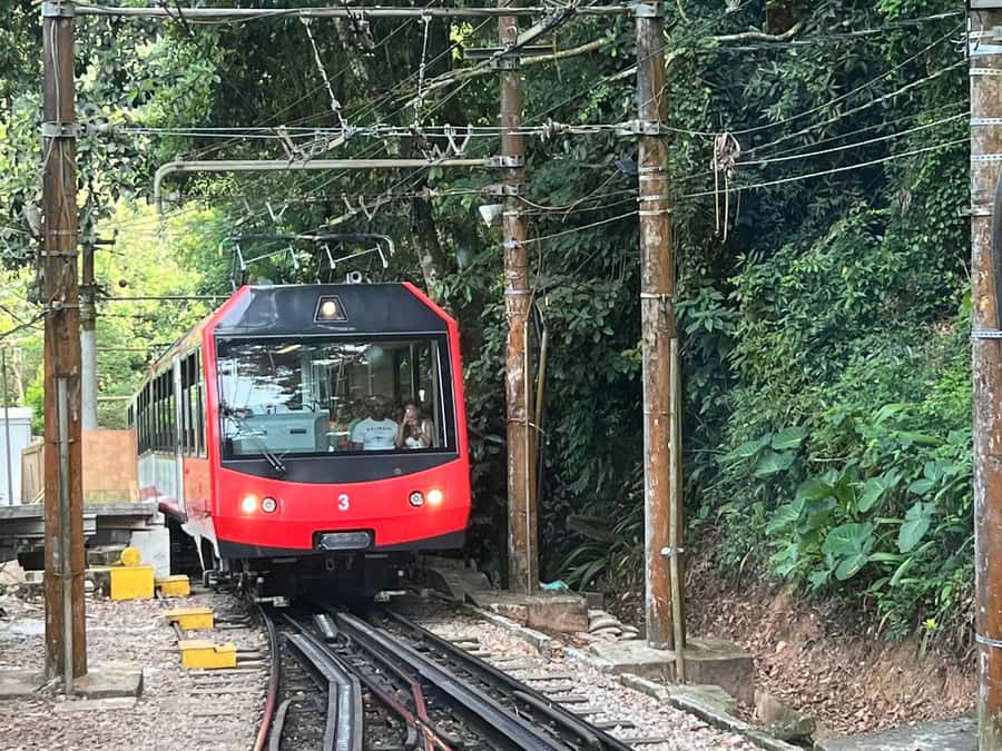 Rio de Janeiro: Private Full-Day Highlights Tour - Corcovado train and Christ the Redeemer