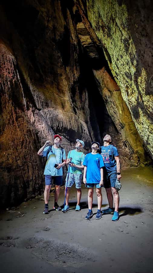 Rio de Janeiro: Tijuca Forest Challenge Hike Full-Day Trip - Key points to know before booking