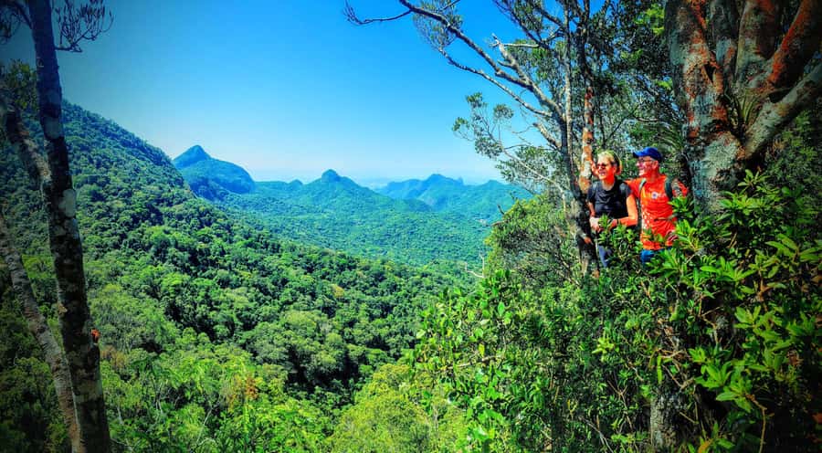 Rio de Janeiro: Tijuca Forest Challenge Hike Full-Day Trip - Who should book this hike?