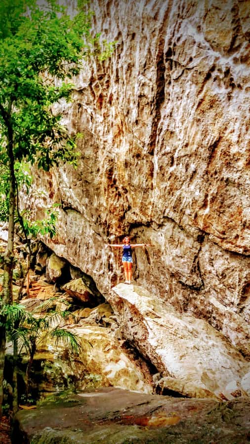Rio de Janeiro: Tijuca Forest Challenge Hike Full-Day Trip - What the guides add to the day