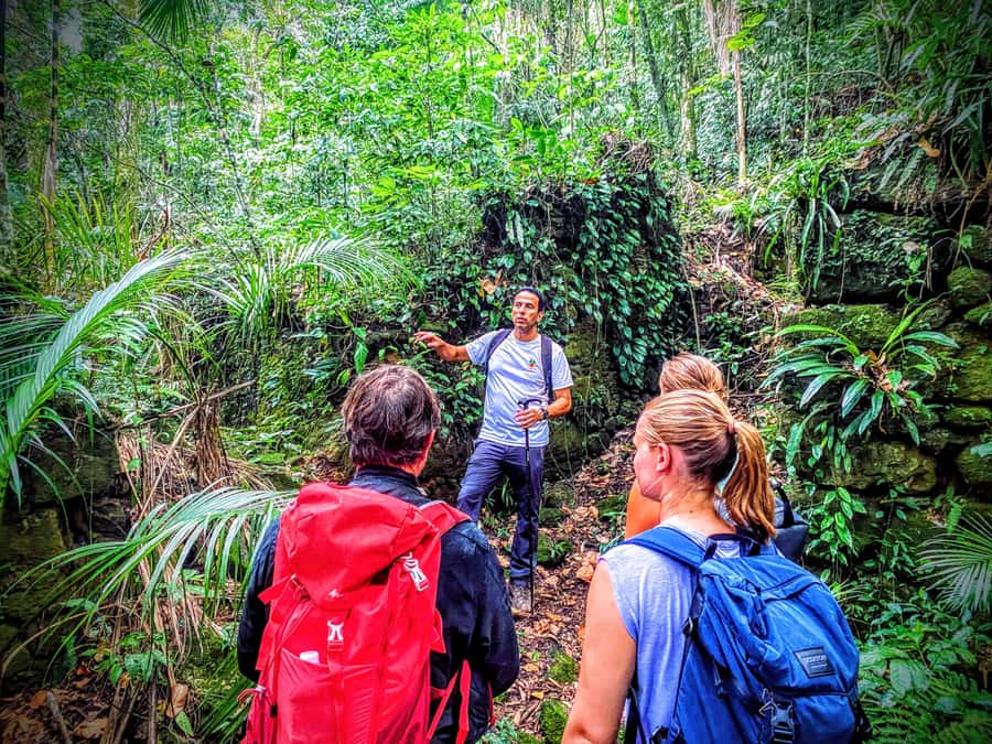 Rio de Janeiro: Tijuca Forest Challenge Hike Full-Day Trip - Is the $86 price good value?
