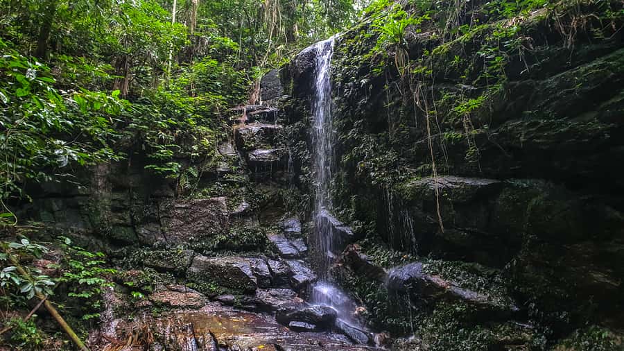 Rio de Janeiro: Tijuca Forest Waterfall of Souls Hike - A different way to enter Tijuca Forest
