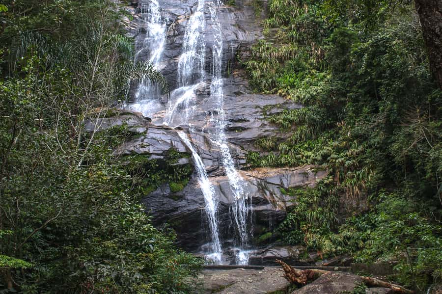 Rio de Janeiro: Tijuca Forest Waterfall of Souls Hike - Meeting at the park gate and reaching the trail